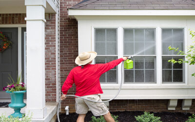 Soft Washing: A Comprehensive Step-by-Step Guide